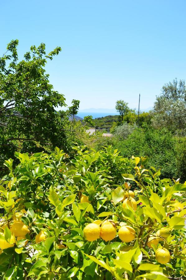 Alikias Country House Panormos  エクステリア 写真
