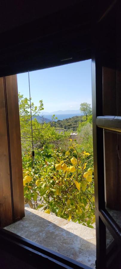 Alikias Country House Panormos  エクステリア 写真