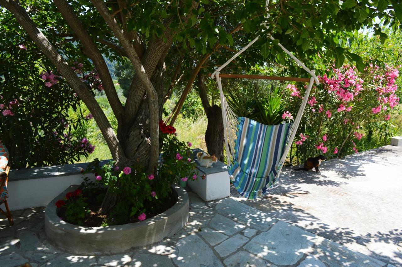 Alikias Country House Panormos  エクステリア 写真