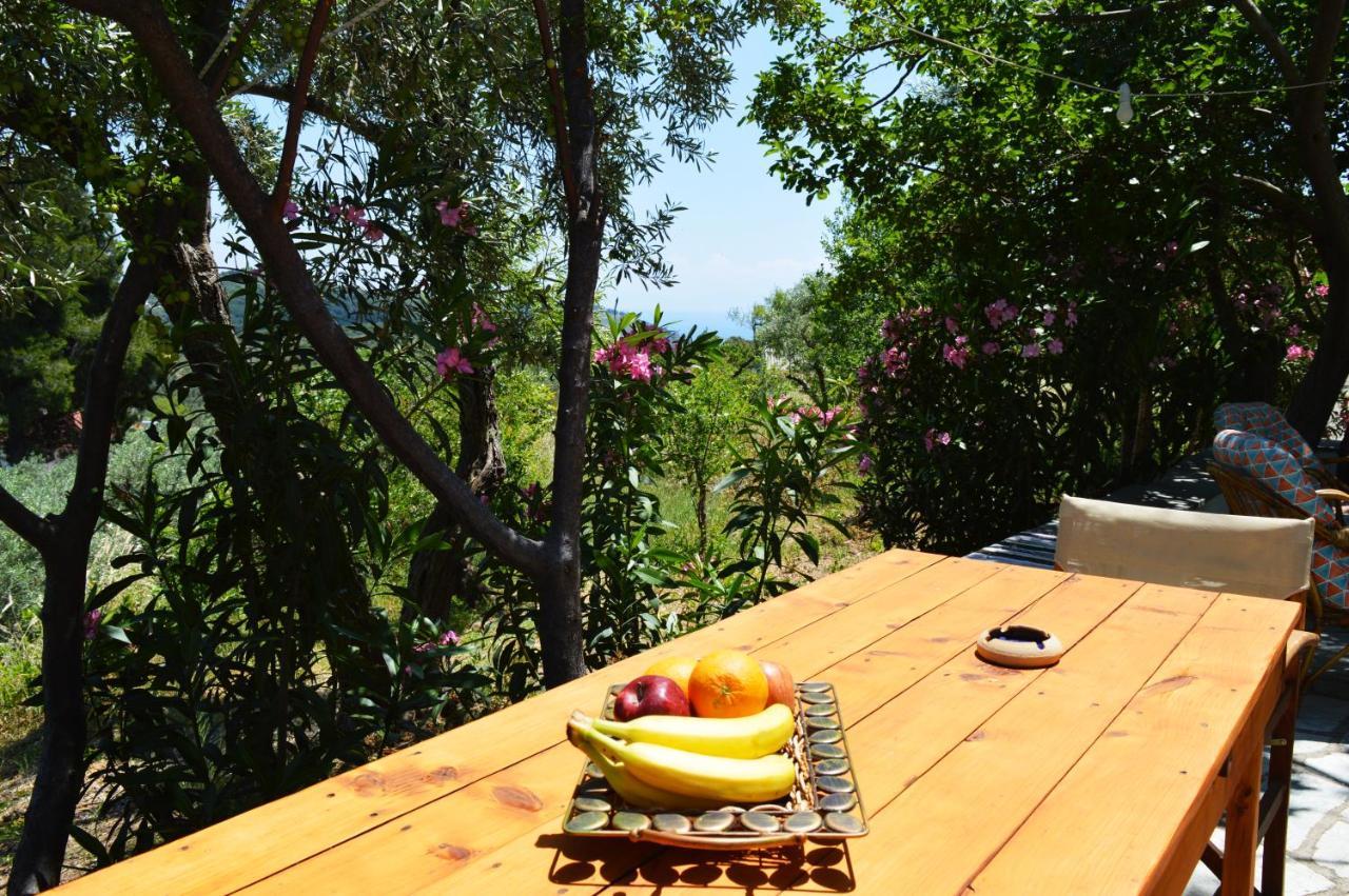 Alikias Country House Panormos  エクステリア 写真