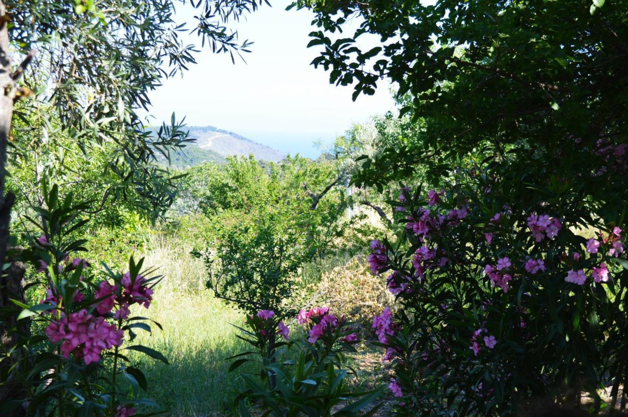 Alikias Country House Panormos  エクステリア 写真