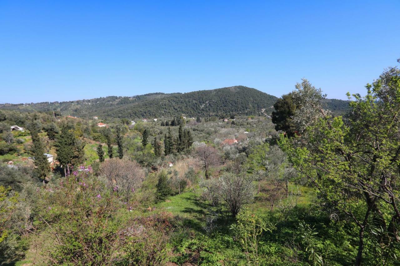 Alikias Country House Panormos  エクステリア 写真