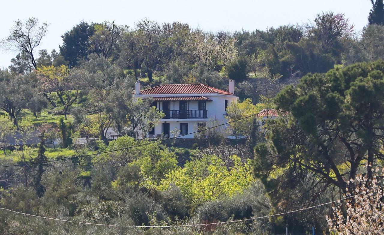 Alikias Country House Panormos  エクステリア 写真